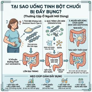 Tai Sao Uong Tinh Bot Chuoi Bi Day Bung
