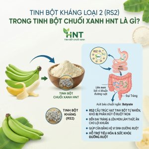 Tinh Bot Khang 2 Rs2 Trong Tinh Bot Chuoi Xanh Hnt La Gi